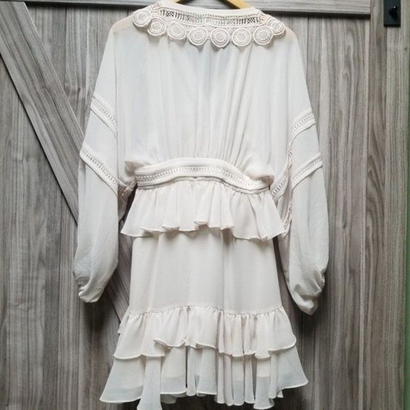 Shona Joy Rafaella Plunge-Neck Long-Sleeve Frill Sheer Mini Dress - Picture 15 of 16